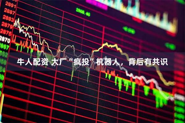 牛人配资 大厂“疯投”机器人，背后有共识