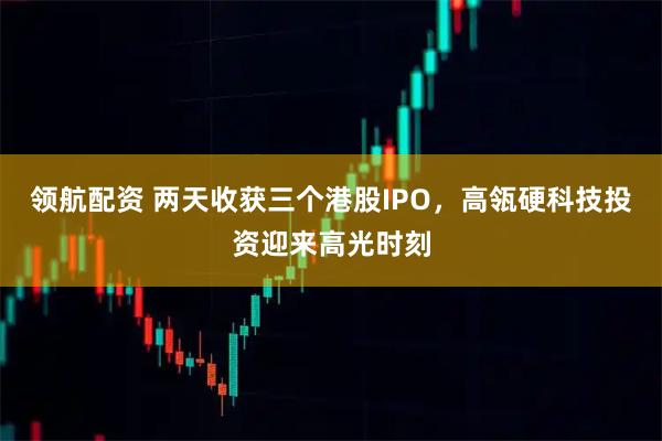 领航配资 两天收获三个港股IPO，高瓴硬科技投资迎来高光时刻