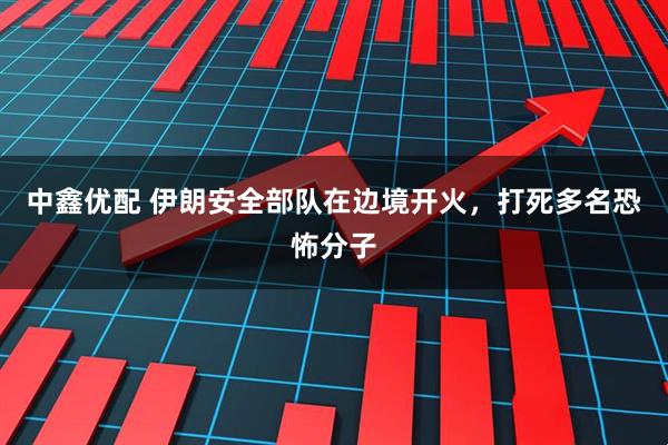 中鑫优配 伊朗安全部队在边境开火，打死多名恐怖分子