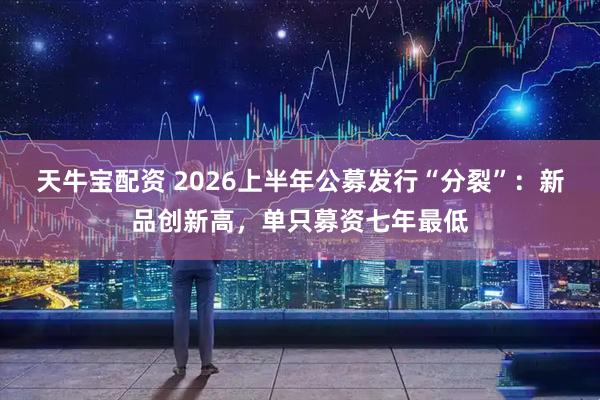 天牛宝配资 2026上半年公募发行“分裂”：新品创新高，单只募资七年最低