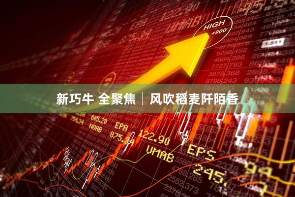 新巧牛 全聚焦│风吹稻麦阡陌香