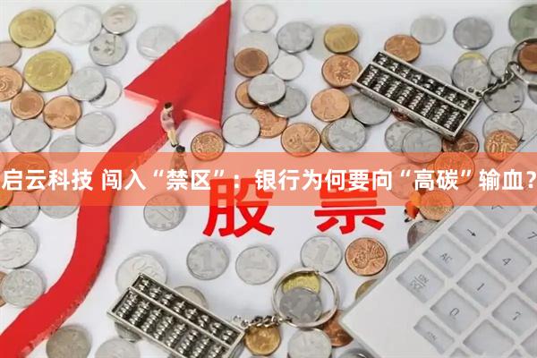 启云科技 闯入“禁区”：银行为何要向“高碳”输血？