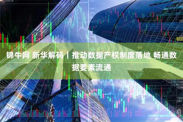 锦牛网 新华解码丨推动数据产权制度落地 畅通数据要素流通